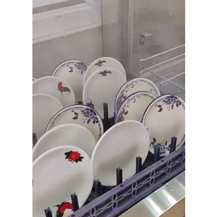 1611648361843336.jpg f691076d-6372-4721-ba61-e590be97a2ea_large.jpg